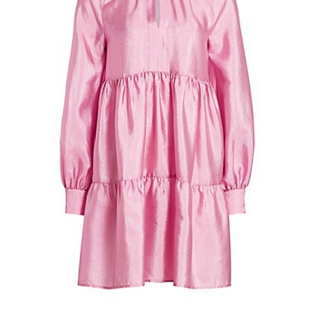 Stein Goya Jasmine Mini Dress NWT
